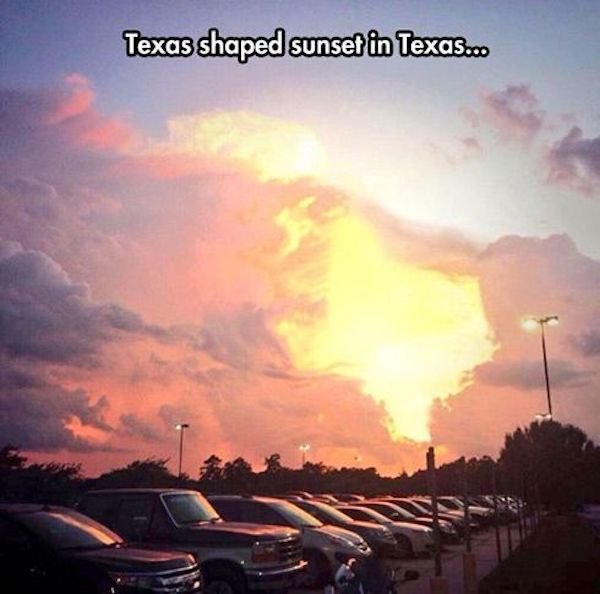 Texas Memes (31 pics)