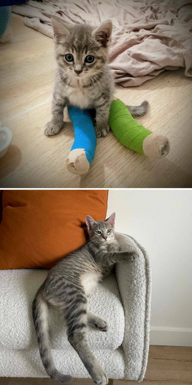 Interesting Comparisons (24 pics)