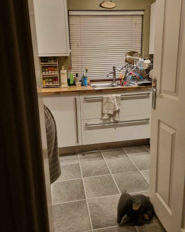 Family Jokes About Pregnancy (23 pics)
