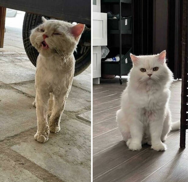 Interesting Comparisons (24 pics)