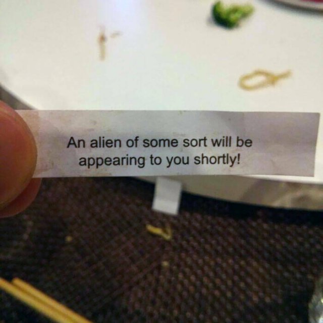 Family Jokes About Pregnancy (23 pics)