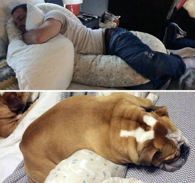 Family Jokes About Pregnancy (23 pics)