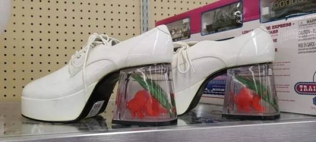 What Is Going On Here? (21 pics)