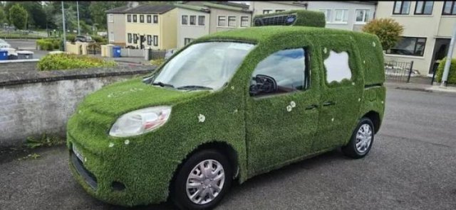 What Is Going On Here? (21 pics)