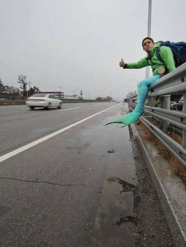 What Is Going On Here? (21 pics)