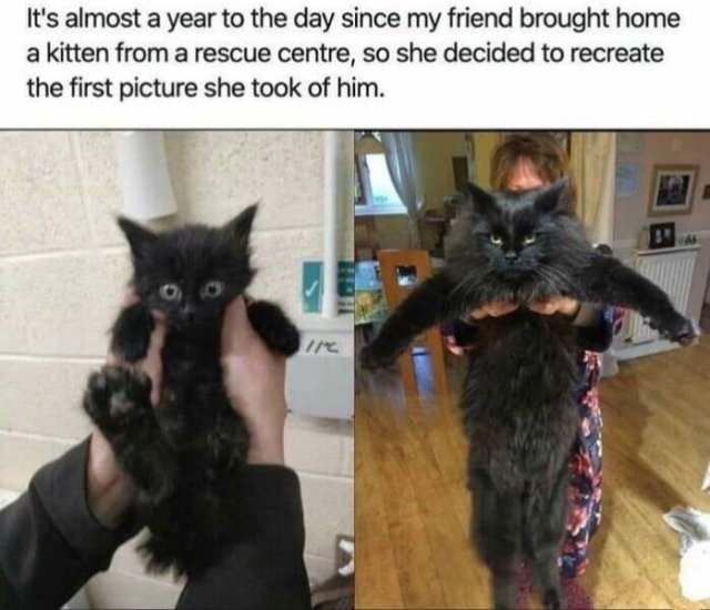 Funny Memes (25 pics)