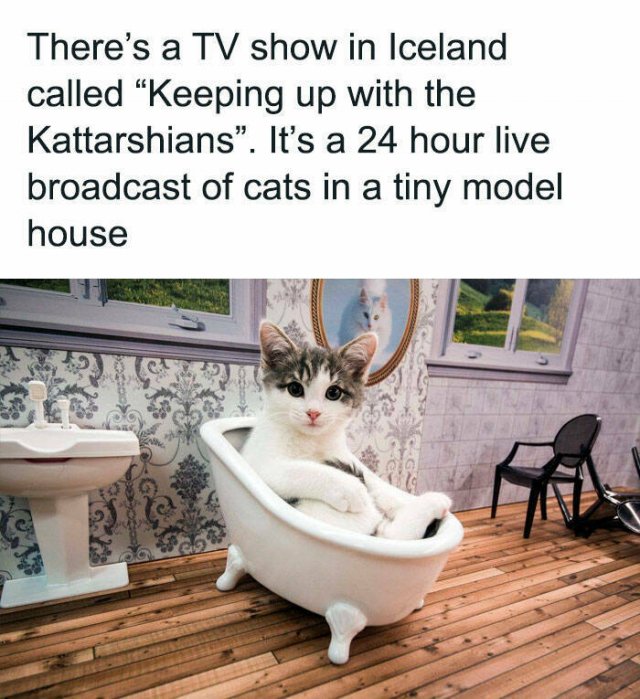 Funny Memes (25 pics)