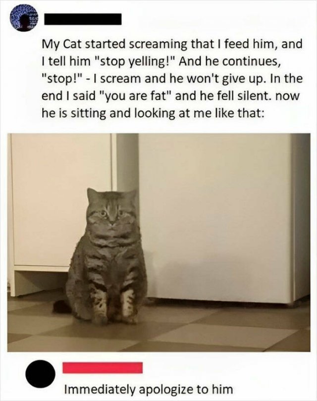 Funny Memes (25 pics)