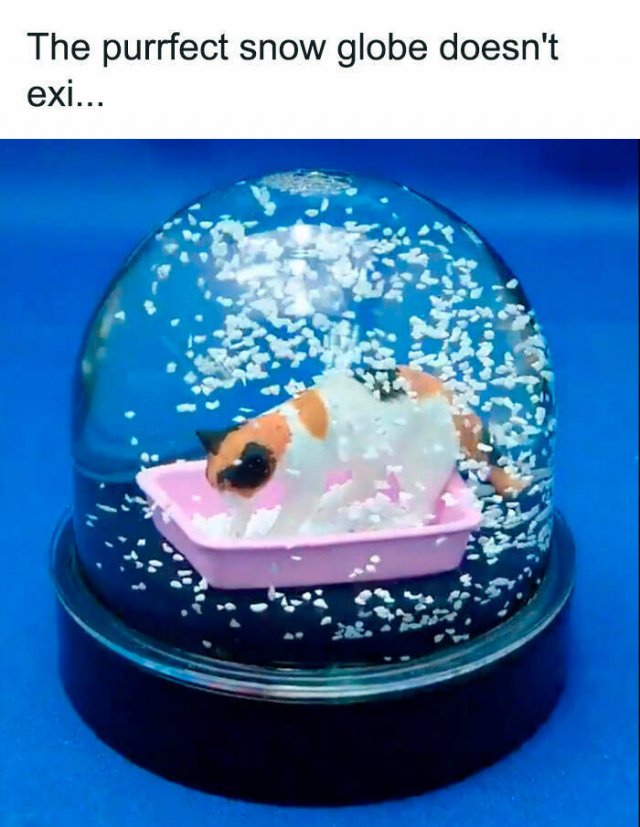 Funny Memes (25 pics)