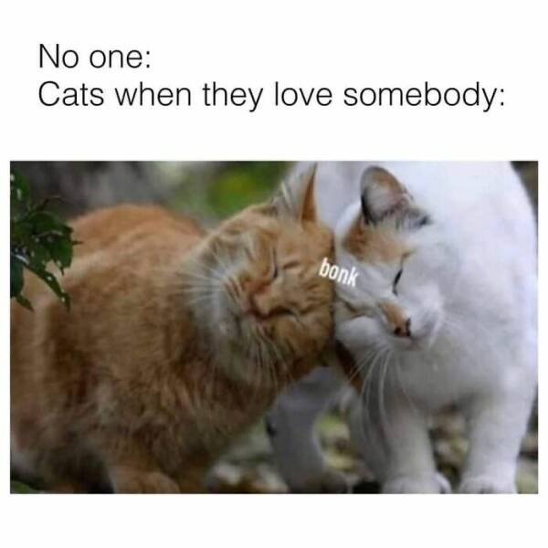Funny Memes (25 pics)