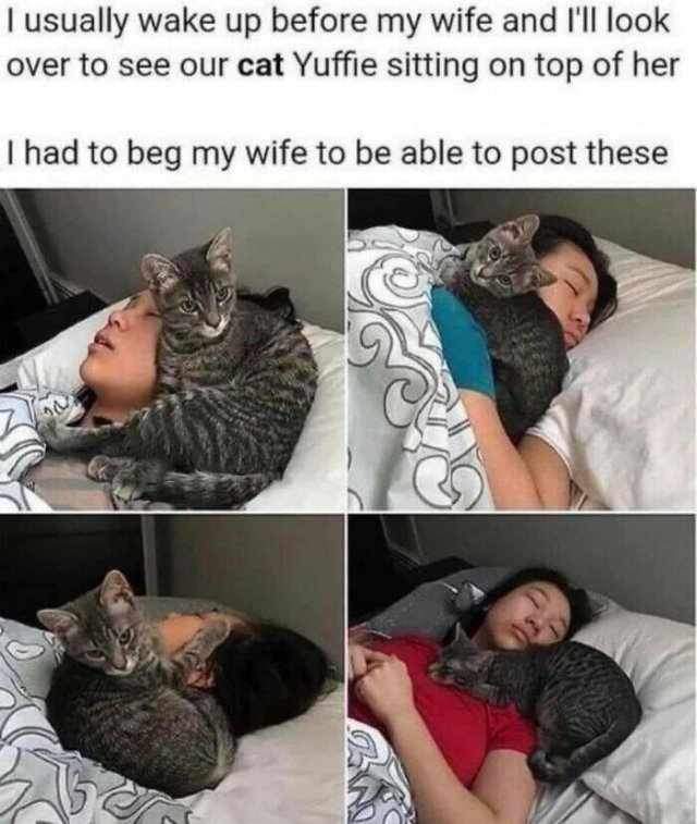 Funny Memes (25 pics)