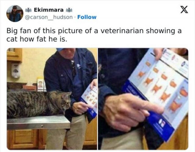 Funny Memes (25 pics)