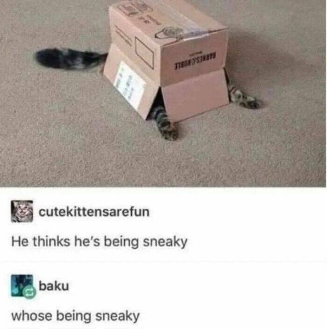 Funny Memes (25 pics)