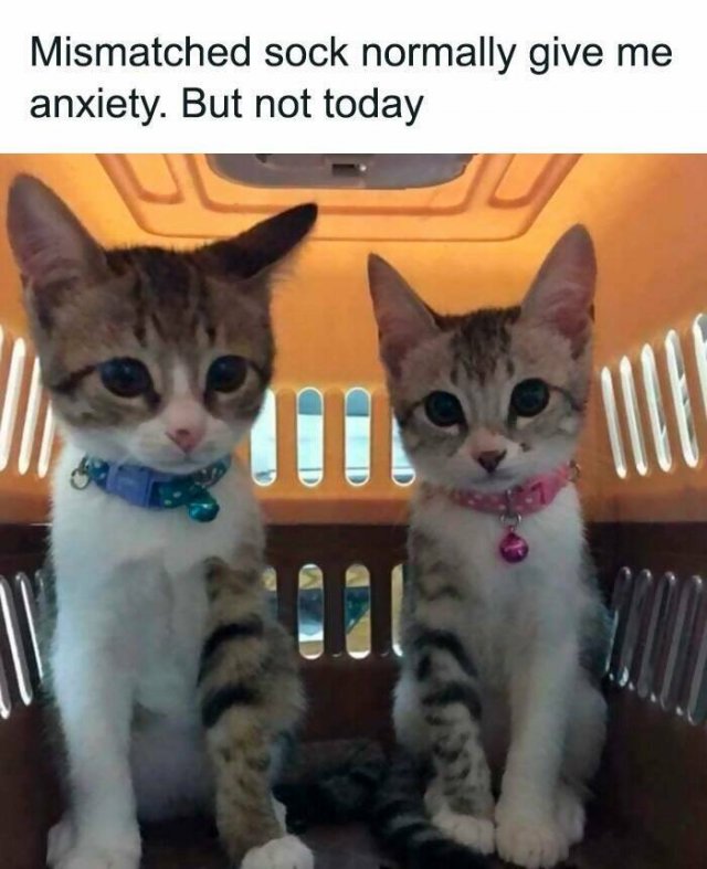 Funny Memes (25 pics)