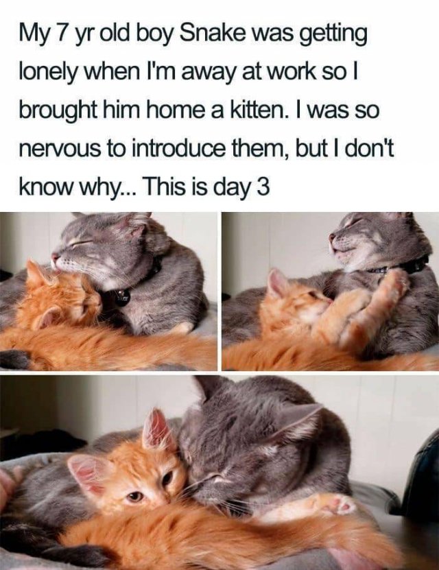 Funny Memes (25 pics)