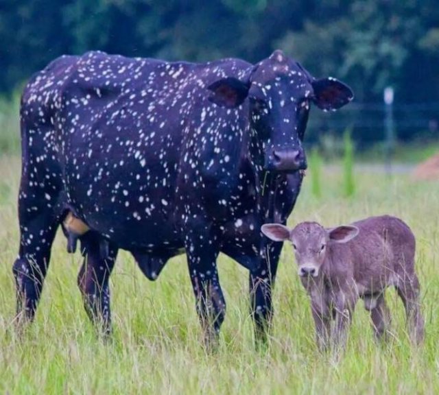 Nature Knows How To Surprise (20 pics)