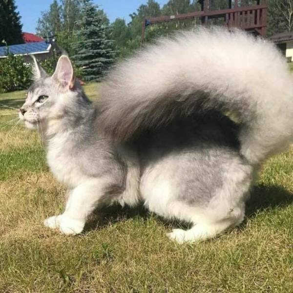 Nature Knows How To Surprise (20 pics)