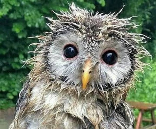 Nature Knows How To Surprise (20 pics)
