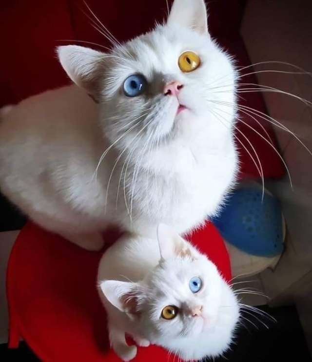 Nature Knows How To Surprise (20 pics)