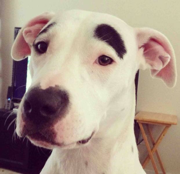 Nature Knows How To Surprise (20 pics)