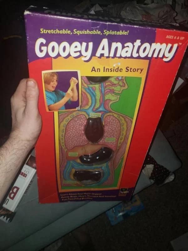 Strange Finds In Thrift Shops (49 pics)