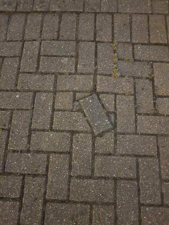 Annoying Things (20 pics)