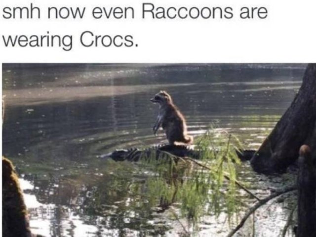 Funny Animals (46 pics)