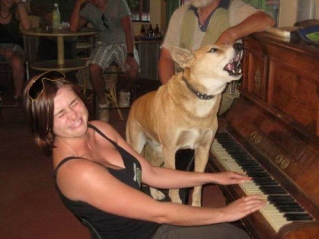 Funny Animals (46 pics)