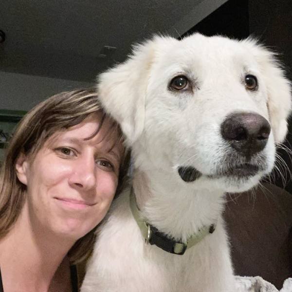 People Tell Stories About Their Adopted Pets (40 pics)
