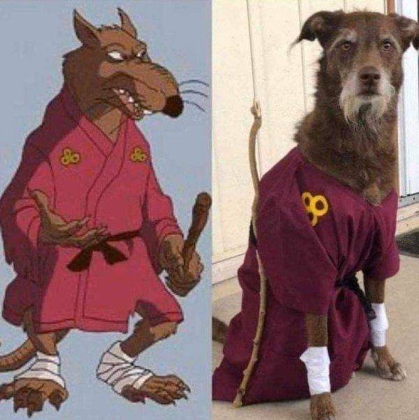 Funny Animals (46 pics)