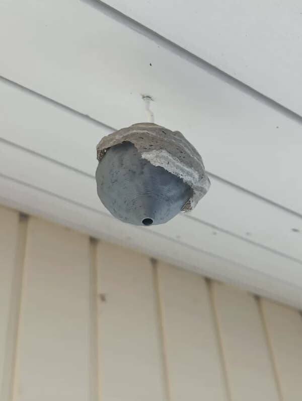 Strange Designs And Finds (20 pics)