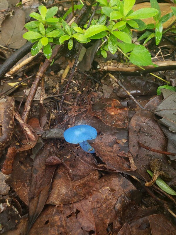 Interesting Finds (20 pics)