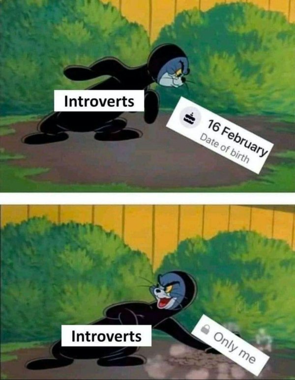 Memes For Introverts (30 pics)