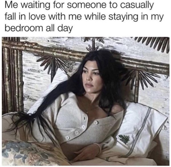 Memes For Introverts (30 pics)