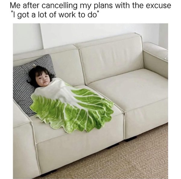 Memes For Introverts (30 pics)