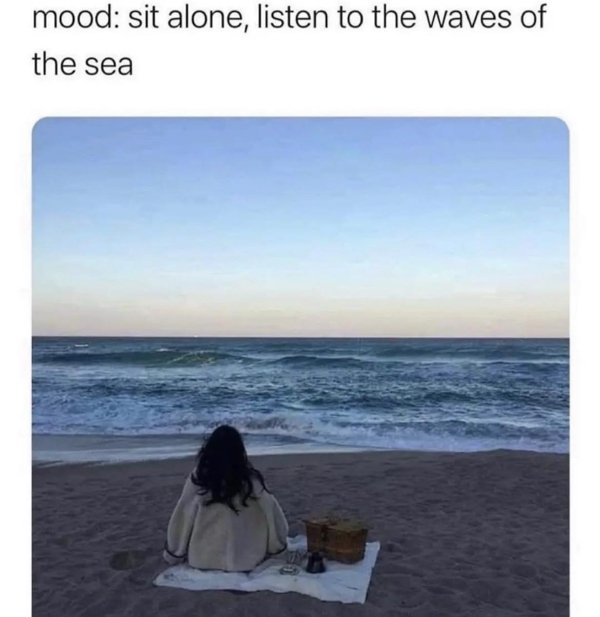 Memes For Introverts (30 pics)