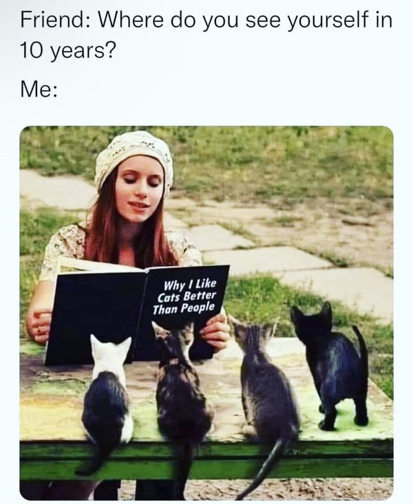 Memes For Introverts (30 pics)