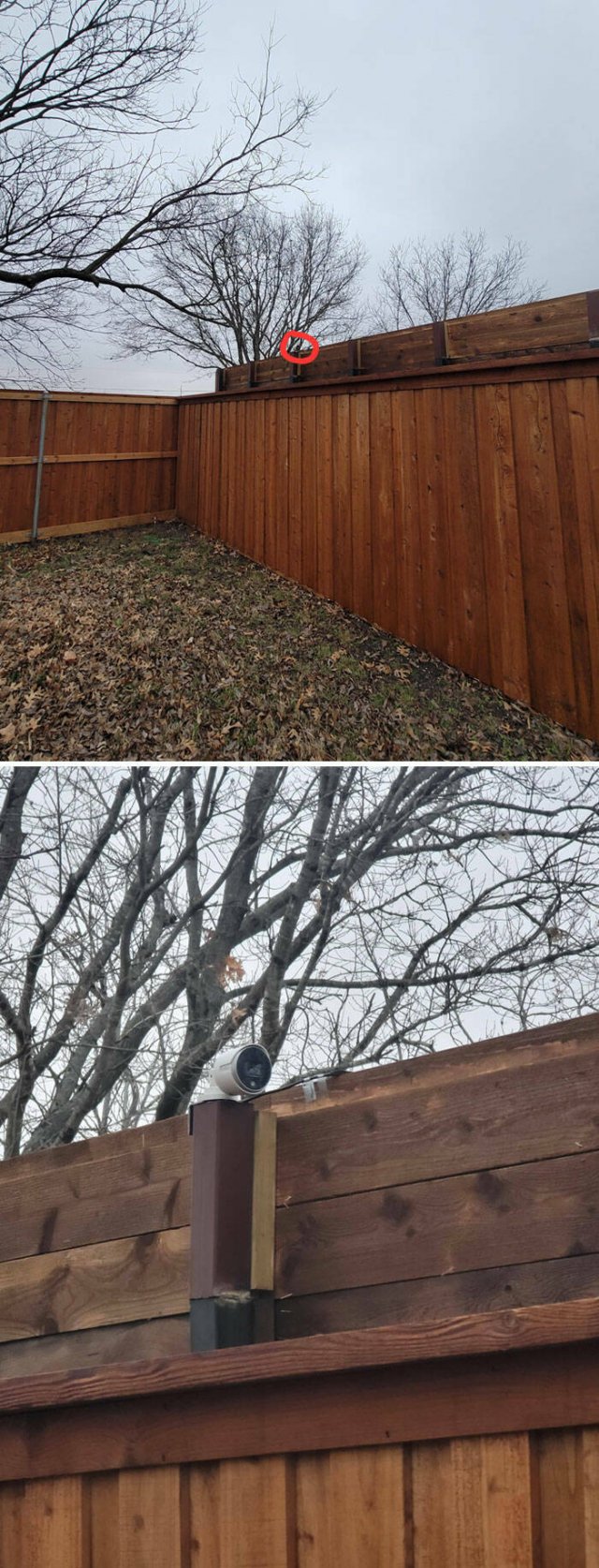 Strange And Unpleasant Finds And Situations (25 pics)