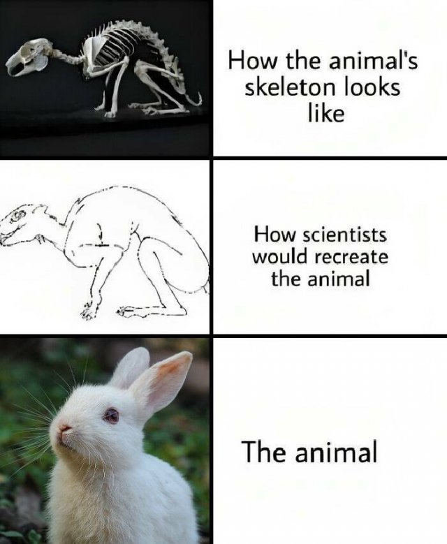 Science Memes (25 pics)