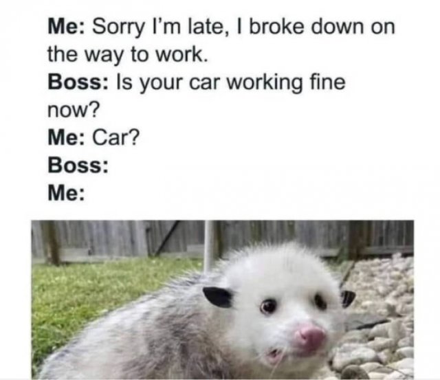 Funny Memes (25 pics)