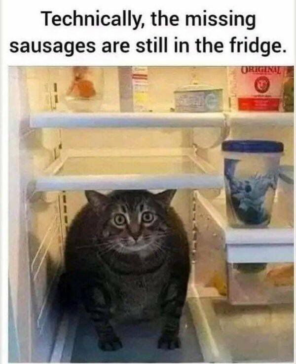 Funny Memes (25 pics)