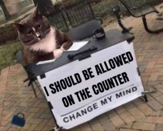 Funny Memes (25 pics)