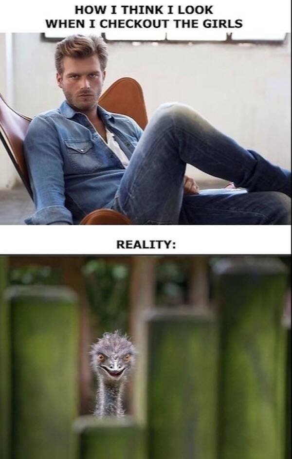Funny Memes (25 pics)