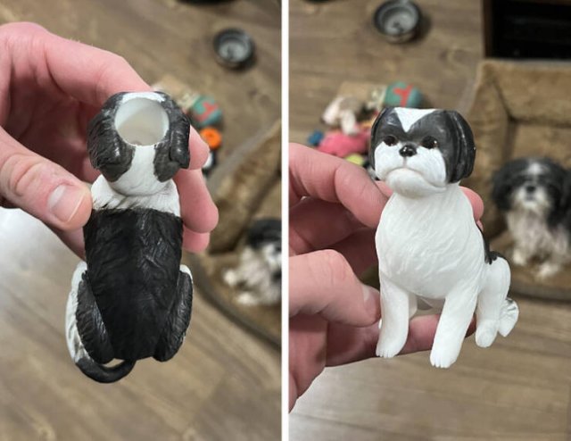 What Are These Things? (21 pics)