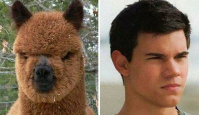 Unexpected and Funny Coincidences (19 pics)