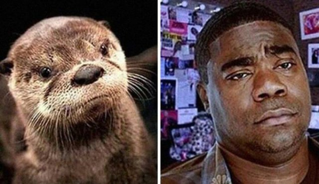 Unexpected and Funny Coincidences (19 pics)