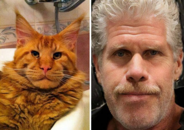 Unexpected and Funny Coincidences (19 pics)