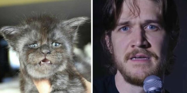 Unexpected and Funny Coincidences (19 pics)