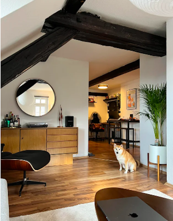 Cool Bachelor Apartments (25 pics)