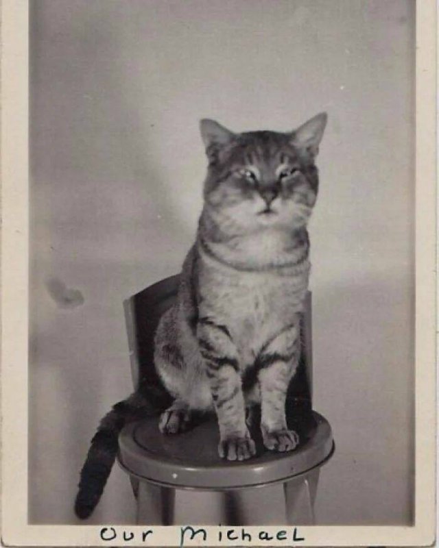 Interesting Historical Photos (25 pics)